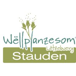 LOGO-Stauden